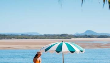 maroochy-river-cotton-tree1.jpg