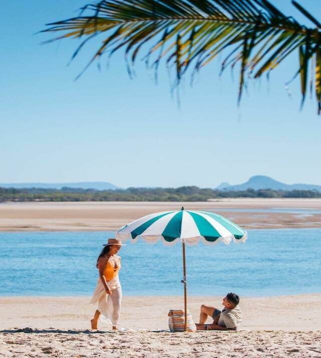 maroochy-river-cotton-tree1.jpg